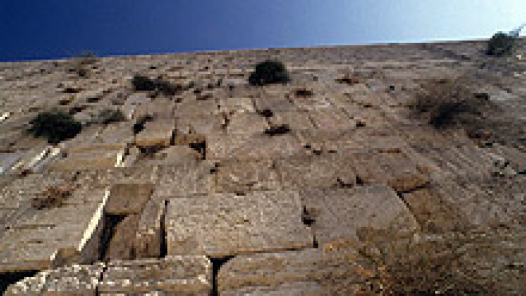 Изображение 5403