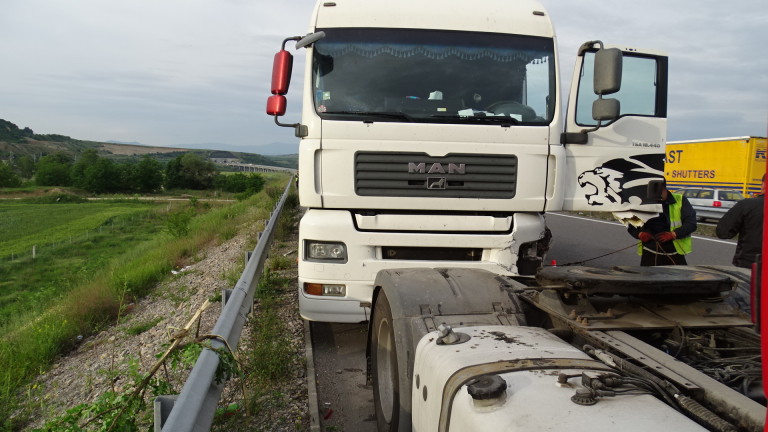 Изображение 425503