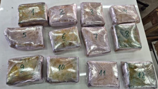 Митнически служители на ГКПП Дунав мост Видин откриха над