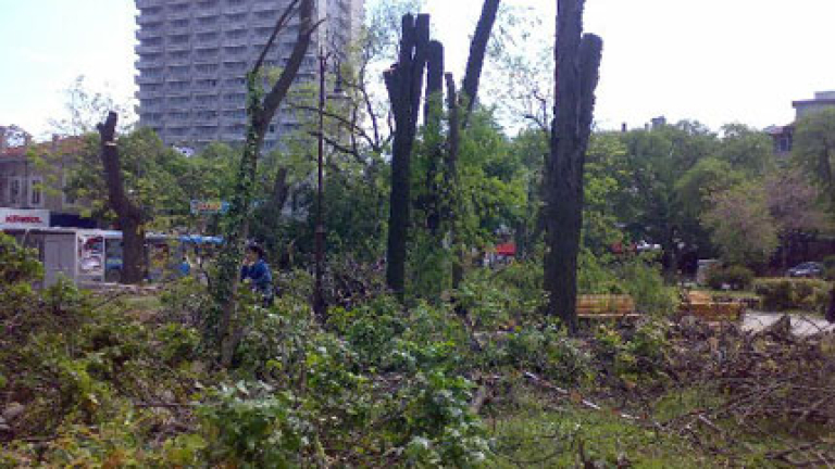 Изображение 46703