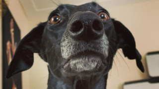 В социалните мрежи все по често попадаме на профили на различни