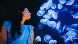 Сънят е съществена част от живота ни и като