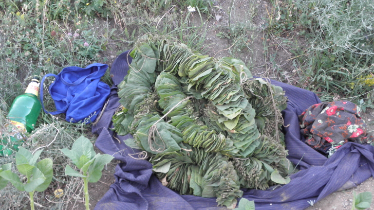 Тютюнопроизводителите въстанаха срещу търговците заради занижени цени