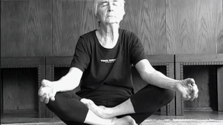 78-годишна баба-йога – в „Отечествен фронт”