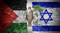 Западната либерална интелигенция – в „небраното лозе“ на конфликта в Газа