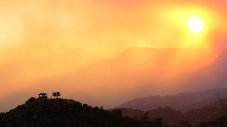 Изображение 537603