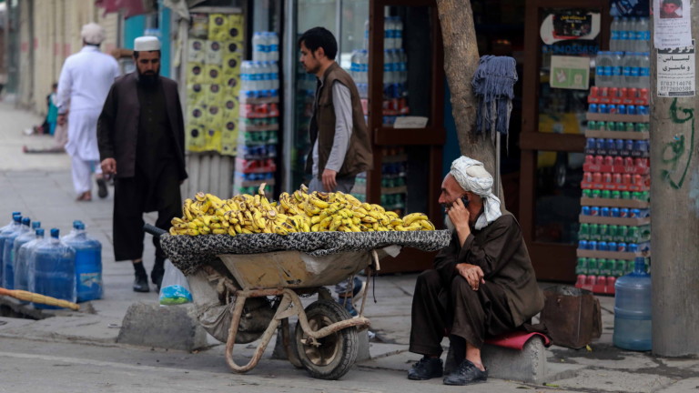 Изображение 547903