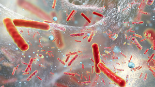 Милиони ще умрат, ако светът не отговори на заплахата от супербактерии