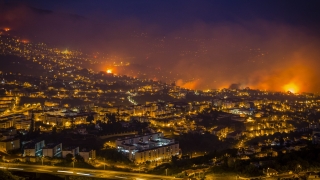 Горски пожари на остров Мадейра взеха жертви 