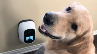 След налагането на бейбифоните в живота на всяка модерна майка