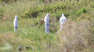 Брутален нагъл и жесток акт Така криминалистът и бивш директор