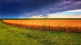 САЩ даде своето “да” за най-голямата сделка в агробизнеса