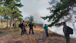 Пожарът край село Дълбоки е локализиран Това съобщи директорът на