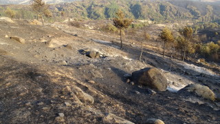 Екологична катастрофа остави след себе си пожарът вилнеещ вече четвърти