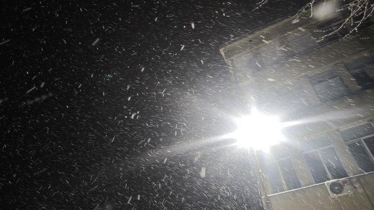 Изображение 750104