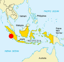 Самолет със 174 пътници излезе от писта в Индонезия, има пострадали 
