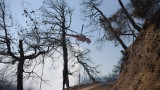  Няма данни за потърпевши българи при пожарите в Пелопонес 