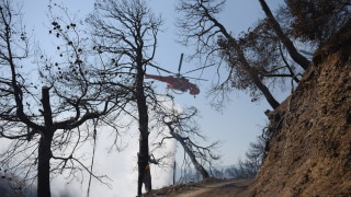 Няма данни за пострадали българи при пожарите в Пелопонес
