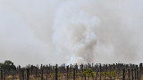НАСА: Пушекът от пожарите в Австралия ще обиколи света