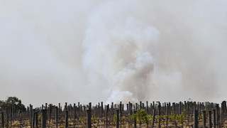 Пушекът от пожарите в Австралия се очаква да направи най малко