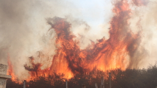 Пожар стигна до къщите в бургаското село Светлина 