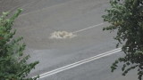  Нов проливен дъжд наводни Бургас 