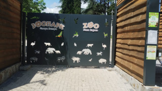 Леопардът не е напуснал територията на зоопарка в Стара Загора