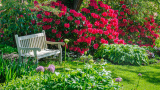 Градинарството не е шега работа защото има много неща които