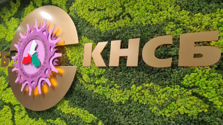 Надзорният съвет НС на Националния осигурителен институт НОИ избра председател