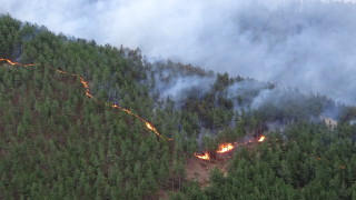 Югозападното държавно горско предприятие започва проверки преди активния пожароопасен сезон