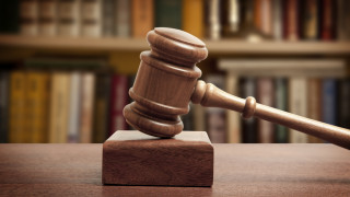 Перо от вече изчезналата новозеландска птица бе продадено на търг