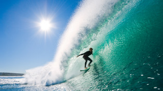 Като собственици на домашен любимец не крием че обичаме да