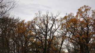Днес вятърът от запад северозапад ще се усили и още преди