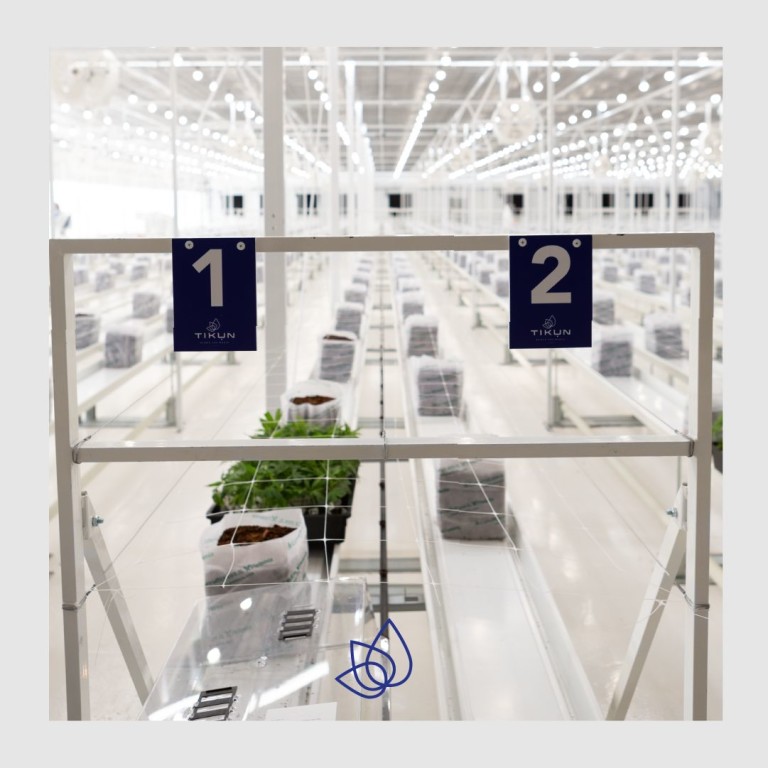 Заводът на TikunOlam Europe