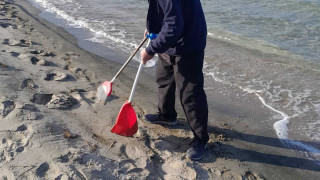 Кметът на Поморие за мазута по плажа: Естествен процес, а не замърсяване