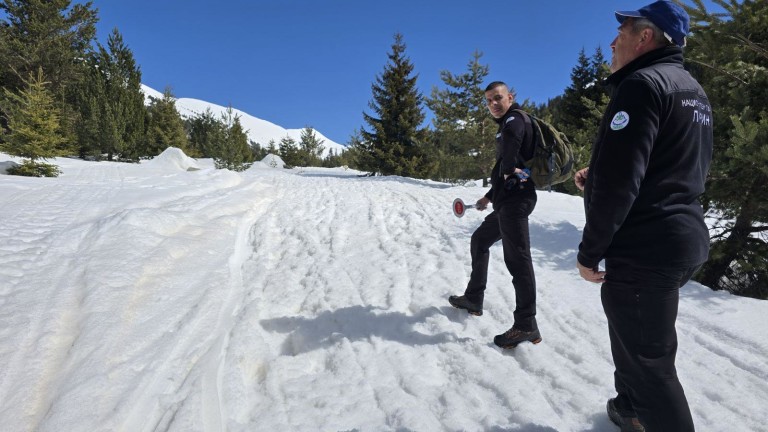 Изображение 755604