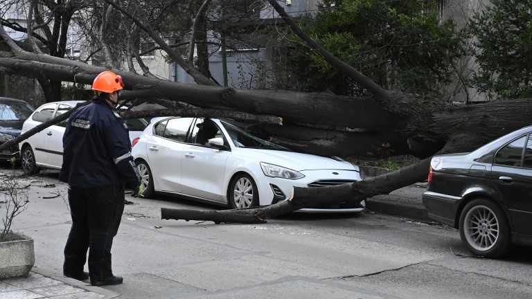 Изображение 746604