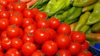 Спряха вноса на 24 тона домати и пипер с пестициди