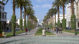 Мароко заяви че преустановява контактите с германското правителство поради разминавания