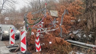 Снежанка с призив към АПИ: "Дядо Коледа, ти си нашият бос, моля - направи го тоя мост"