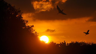 Рекордни жеги, парникови газове и увеличение на морското ниво през 2015 г.