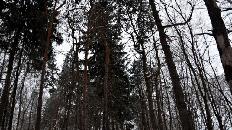 Забранява се придвижването в две благоевградски села