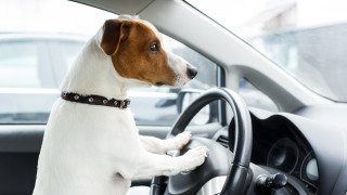 Шофьор спрян за превишена скорост се опита да размени местата