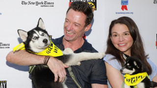 Когато 56 годишният Хю Джакман се раздели с 69 годишната си съпруга