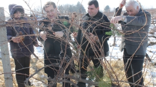 Изнасяме близо 62 млн. литра вино