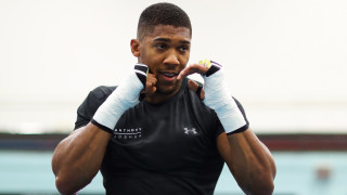 Не става въпрос за вандализъм от страна на световния шампион в