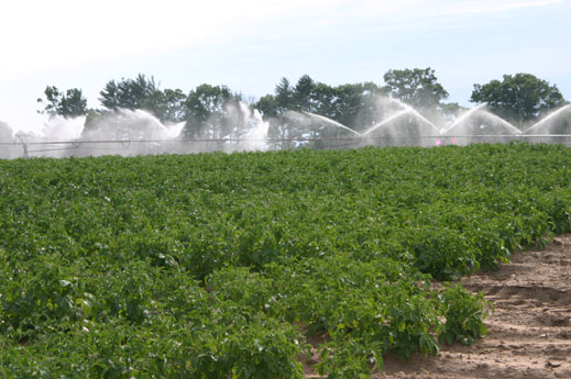 По-ниска цена на водата за напояване иска аграрната организация