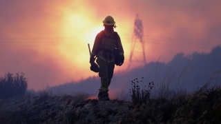 700 души са евакуирани в Калифорния заради горски пожар