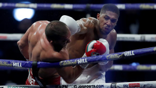 Световният шампион във версиите на WBA WBO IBF и IBO