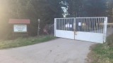 Пикап и бременни кошути пазят хотела на Вълка